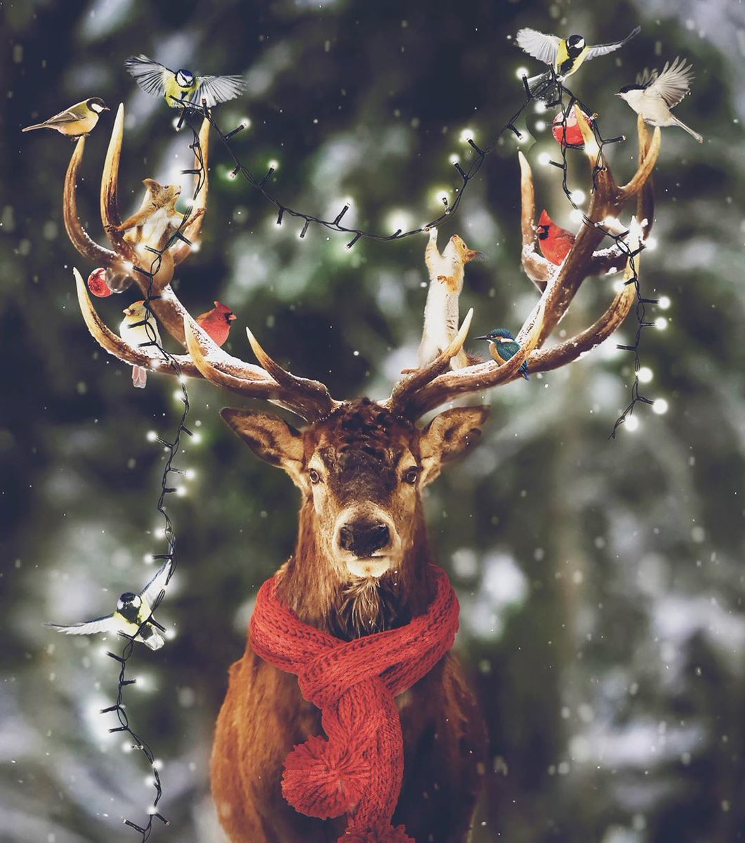 We’re out of the office and unplugged this week spending time with family and friends for our holiday break. For immediate assistance, please contact product support directly: adobe.ly/2Qc6mMT