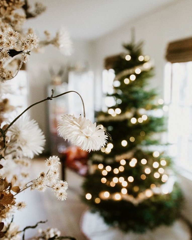 It's the most wonderful time of the year. 🖤