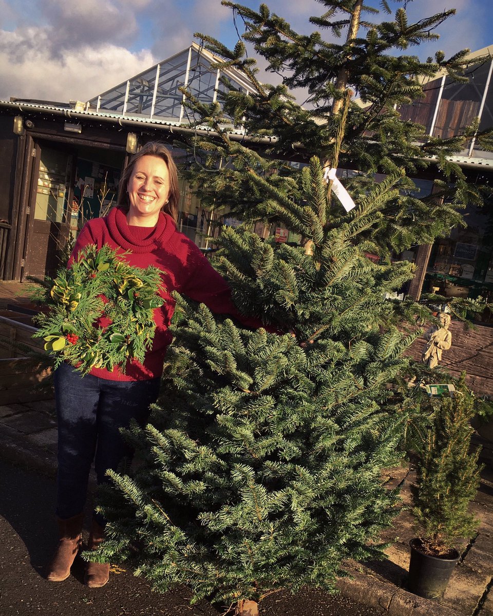 NewmansGC's tweet photo. For all of you traditionalists out there who like to deck your halls on Christmas Eve, we still have a few handmade wreaths and trees left in stock🎄💚 #Aberystwyth https://t.co/oRkOVjnQ4r