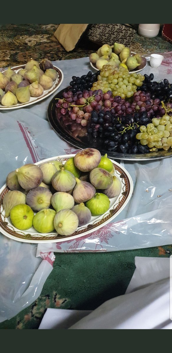 محمدالقرني أبو فيصل (@abofisal56) on Twitter photo 