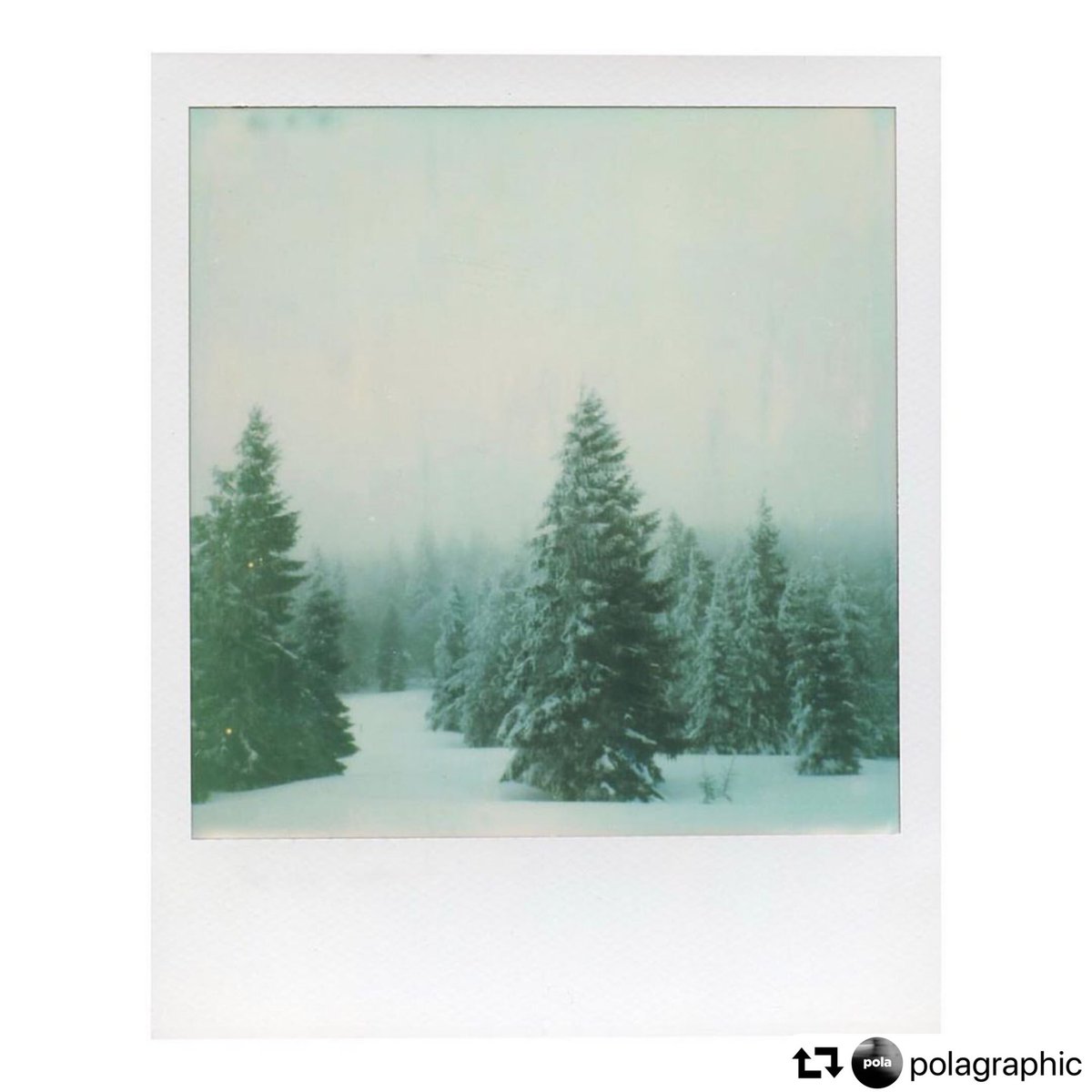 polaroidorg_jp's tweet image. 信じる神は違えど寒いと青味を帯びるフィルムの特性は変わらない。冬には冬の色があるのもポラロイドならでは。特別価格は12月25日まで🎄

polaroidoriginals.bcc-tokyo.jp/store/winter-s…

#ポラ
#ポラロイド
#ポラロイドオリジナルズ
#ポラロイドカメラ
#インスタントカメラ
#インスタントフィルム