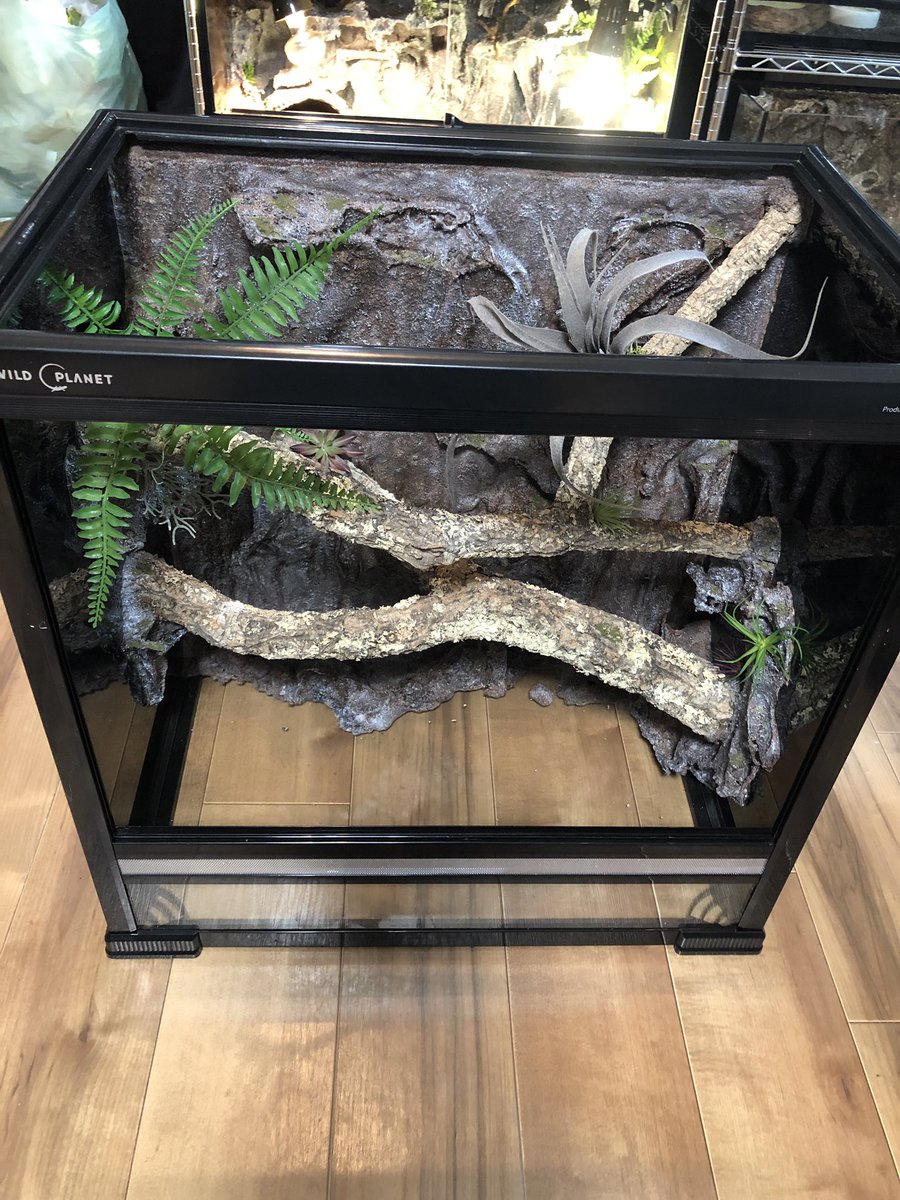 ワイルドプラネット 幅61奥行き41高さ60 樹上性の蛇を飼育しようと思い