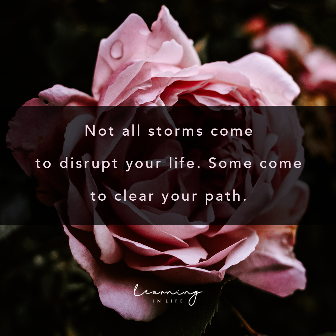 LearningLifeInc's tweet photo. Clear Your Path https://t.co/8lla2VzNYl #clearyourpath #disrupt #disruptyourlife https://t.co/4w7jj9F9BM