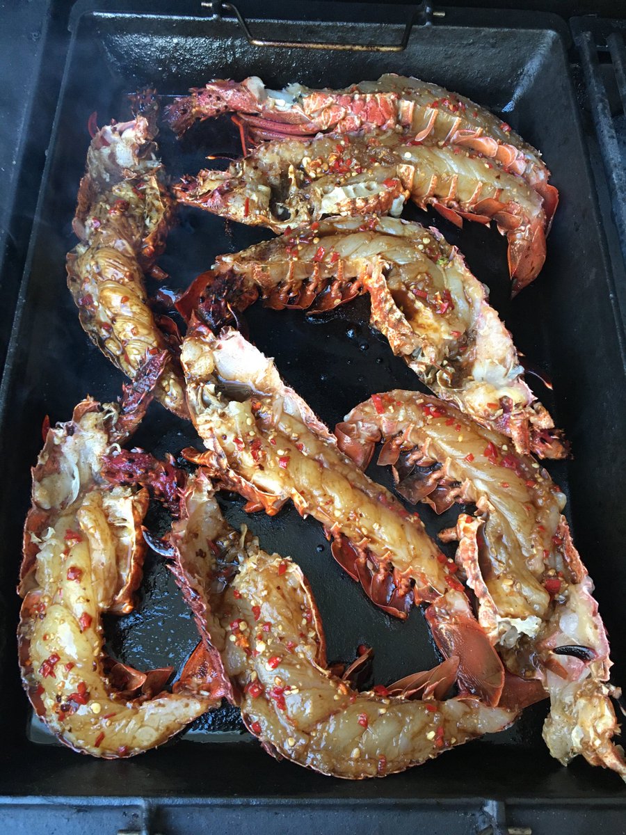 Bloody good 👍👍