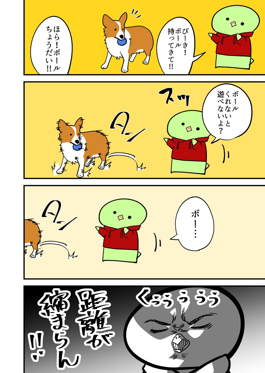 コーギーと遊ぶ。その8 