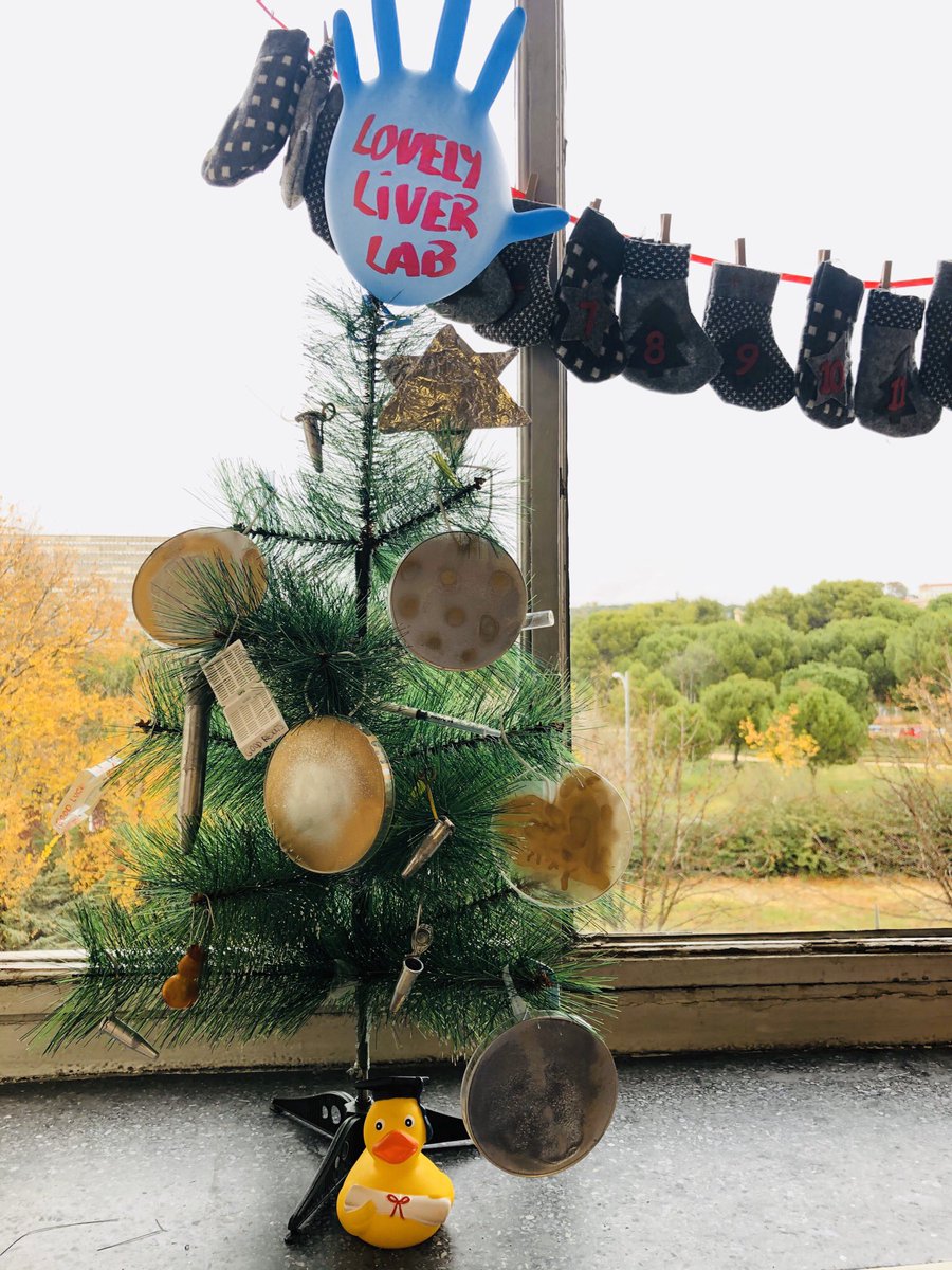 NevzorovaYulia's tweet photo. Merry Christmas and that the happiness of this holidays can be repeated every day of the New Year!
@CUBEROlab #LovelyLiverLab https://t.co/vut5mhCqWL