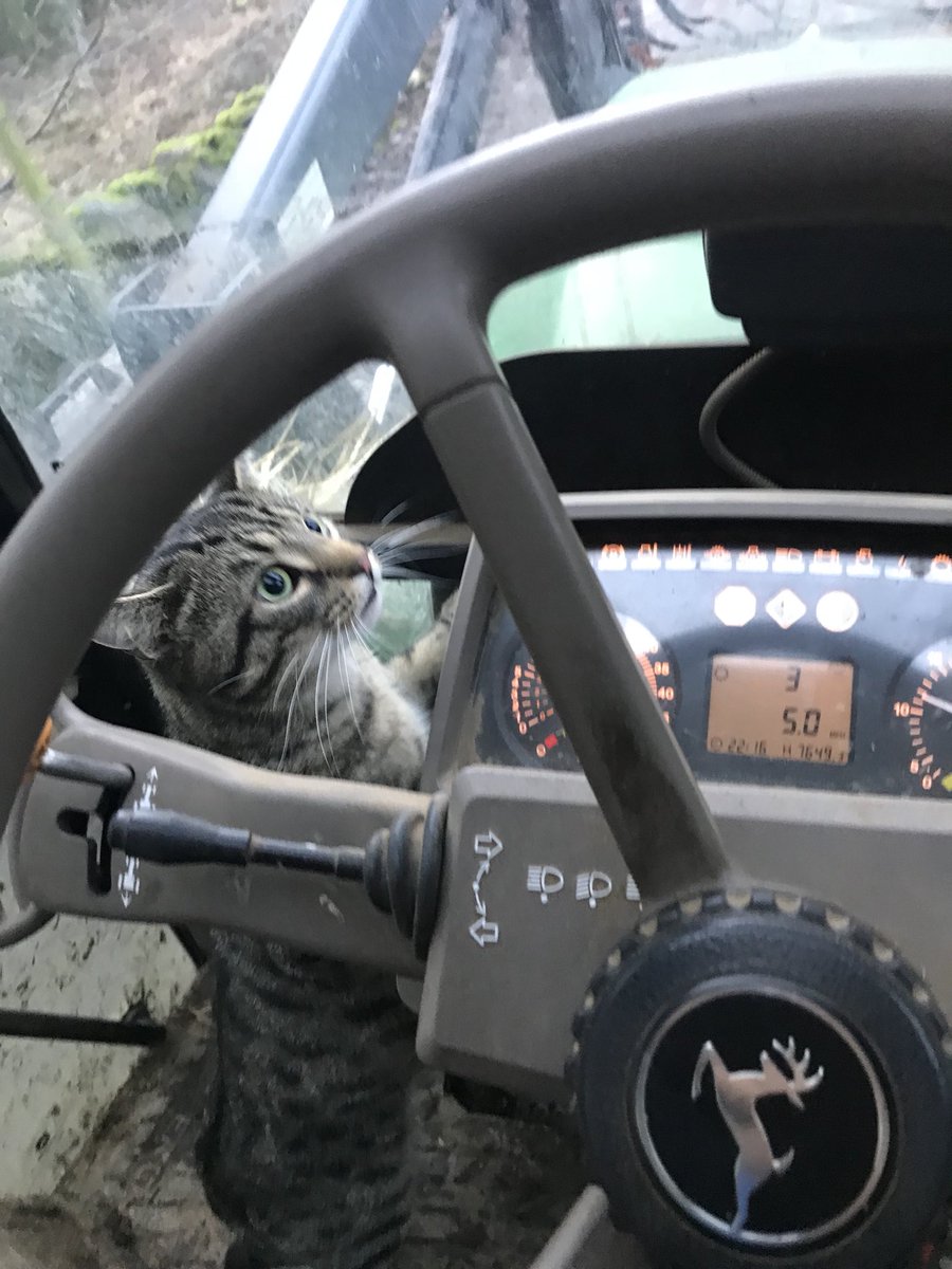 bbshorthorns's tweet photo. Break the mound #tractorcat https://t.co/SDLwh8LTPY