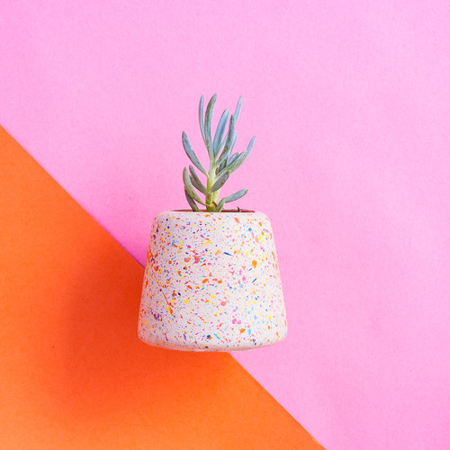 TheBessemerII's tweet photo. Christmas Gift Inspiration Day 23: Super cute concrete succulent planters (plant included) by @heybulldogdesign Perfect gift for the plant lover in your life! #plantlover #eco #greengift #Sheffield #planter #succulent #shopinde #shopsmall #giftidea #artgift #supportsmallbusiness https://t.co/Mnj7vKilJs