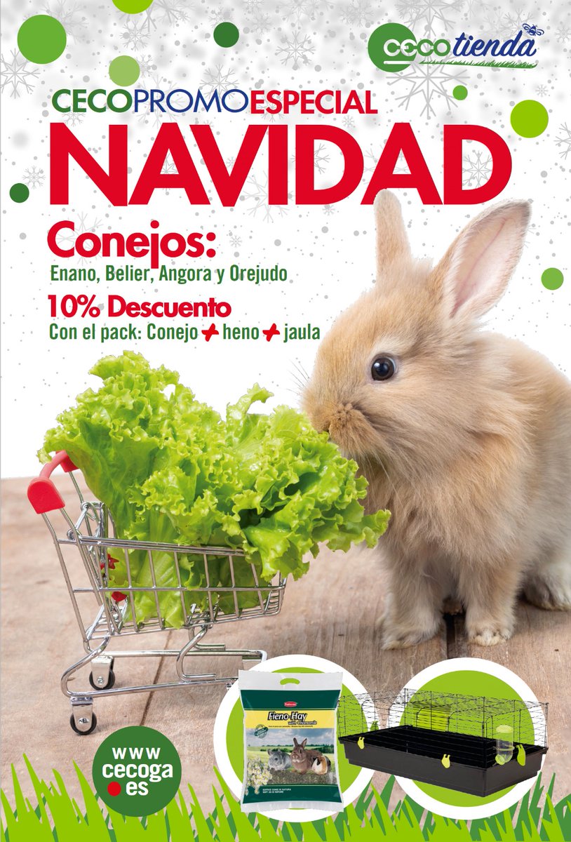 cecogainfo's tweet photo. ¡NAVIDAD! ¡NAVIDAD! 🎄🎄¿Sin ideas para regalar?
Aprovéchate de la #cecopromo y regala un conejo 🐰🐰
Enano, belier, angora u orejudo 😃😃¡Tú eliges!
10% de descuento si te llevas el heno y la jaula 👍👇
#cecoga #cercadeti #muchomás https://t.co/LY9Ux4tAOl