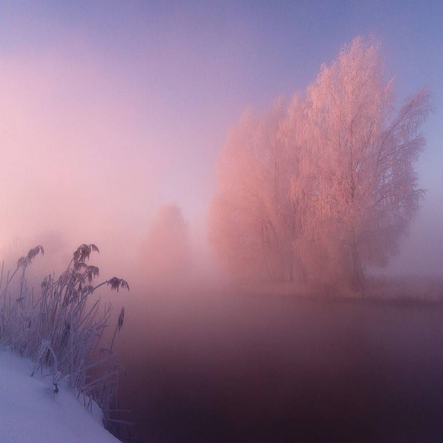 fubiz's tweet photo. Morning Poetry Photography https://t.co/FxTu3z9suK https://t.co/7efdbgkR2l