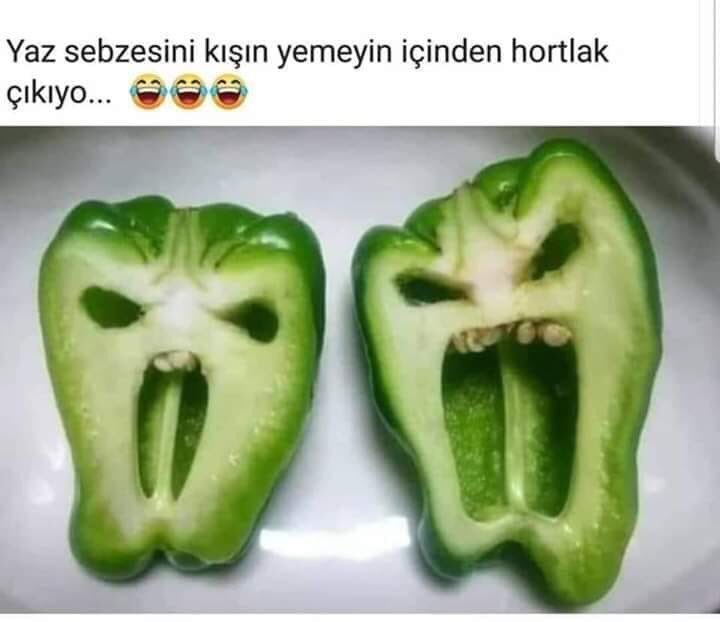 SeydaSheida07's tweet photo. Yaz sebzesini kisin yemeyin hortlak cikiyoooo 🧐 https://t.co/RiEQgNuvGY