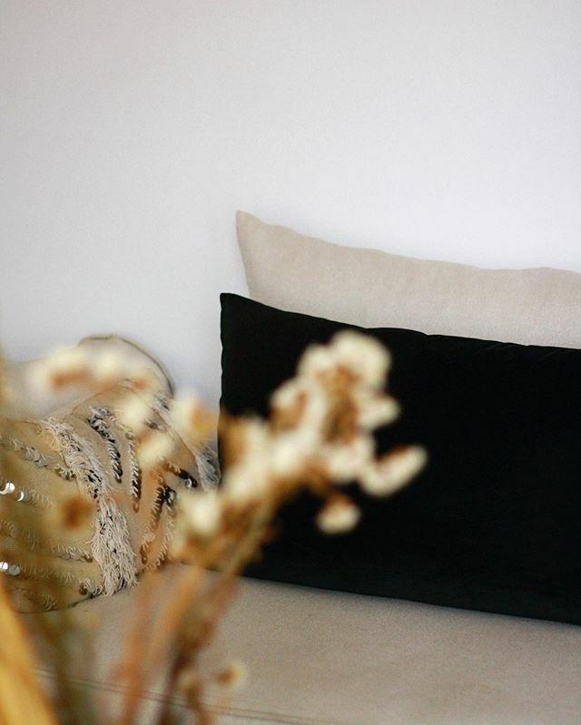 Riad Le Limoun tweet media