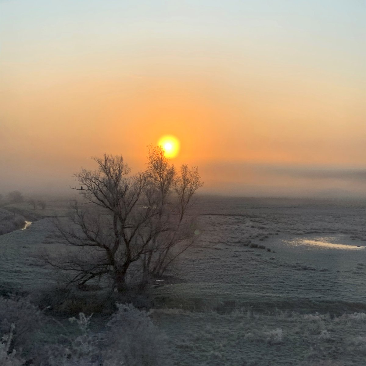 EUCommissionScotland tweet media