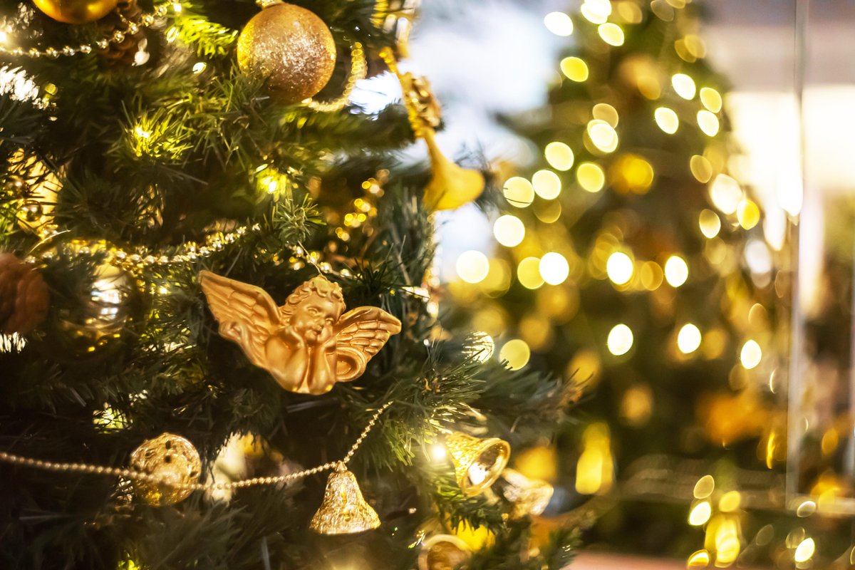 2 more sleeps until Christmas Day! What are your plans for Christmas Day?

theearl.co.uk