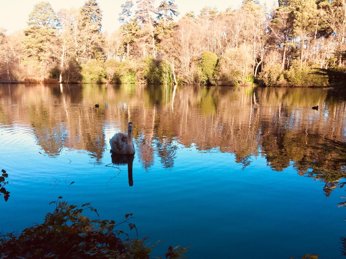 TimFurn's tweet image. 🎄Thank you Graham - wonderful 5k charity walk this morning @WellingtonUK @STOP_HungerUK @GhGrahamheffer @IndiesSodexo @Welly_Master over £200 raised! Thank you everyone! Merry Christmas 🎄