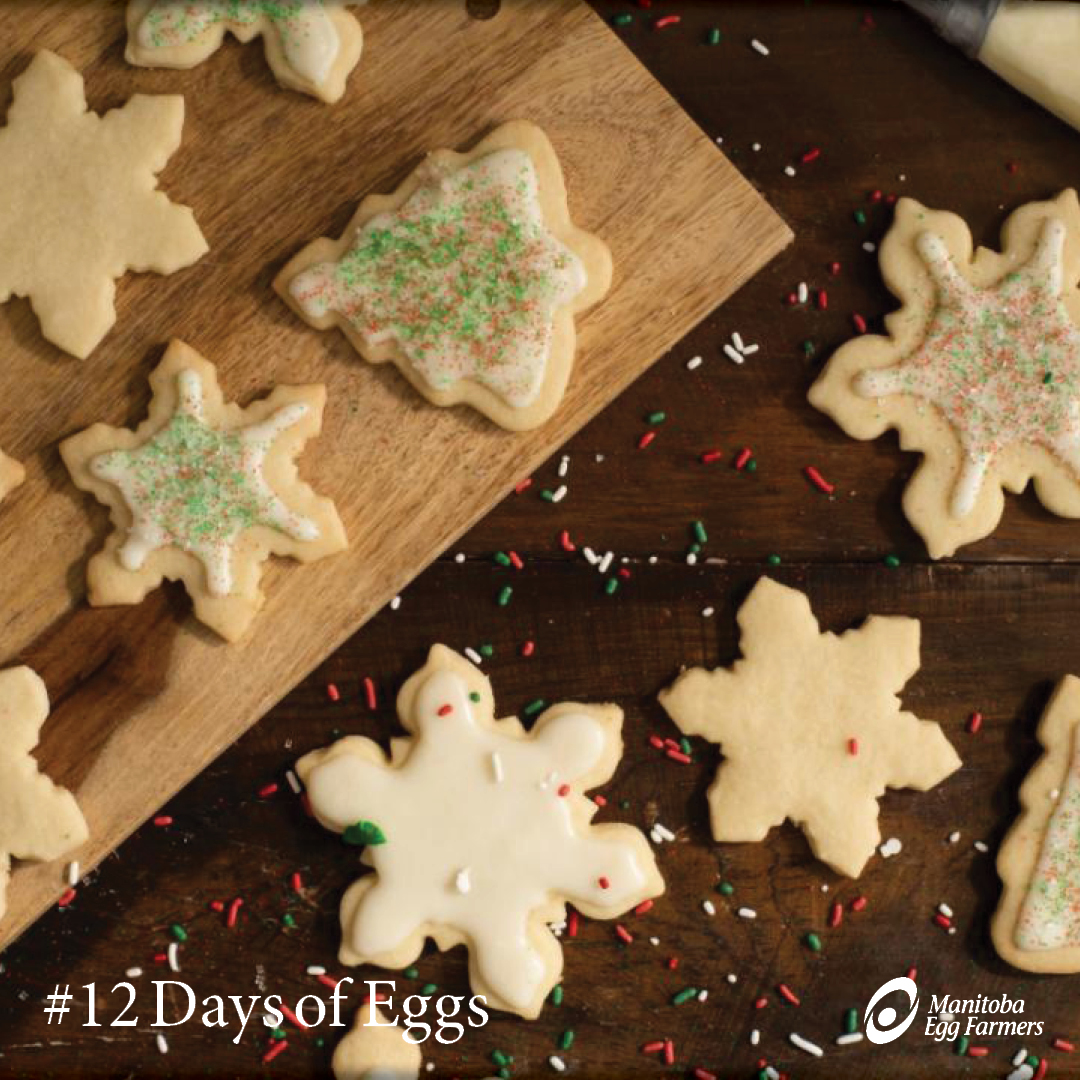 eggsmanitoba's tweet photo. #12DaysofEggs Just 2 days left until Christmas! Cookie decorating is a fun and relaxing activity that can be done on a cold holiday afternoon. Tag us in the holiday cookies you make this season, we can't wait to see your cookies!
https://t.co/DbwV3u7RNu https://t.co/z7KLYQ6oHJ