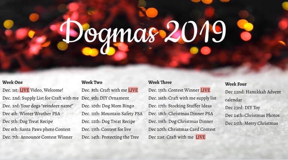 dogmomsgroup's tweet photo. Head over to Facebook to keep up to date on our daily #dogmas 2019 post! Giveaways, tips, crafts, and more! 🐾 

#dogmas #dogmomsgroup #dogmoms @christmas https://t.co/XxxOEqEiQ6