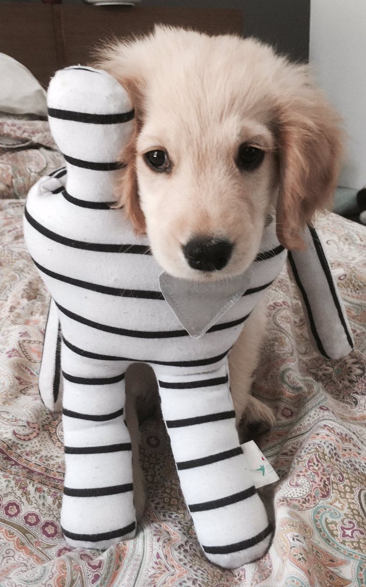 sofipalauwake's tweet image. Feliz Navidad a todos y un 2020 bien bueno ! Un abrazo 🤗 @IndeportesAnt @MinDeporteCol @OlimpicoCol @elcolombiano @FedesquiCol @Orios8 @LucenErnesto @WWakeboarding @iwwfwakeboard @RonixWakeboards @Ronix @Telemedellin @Teleantioquia @keepandcarrycol