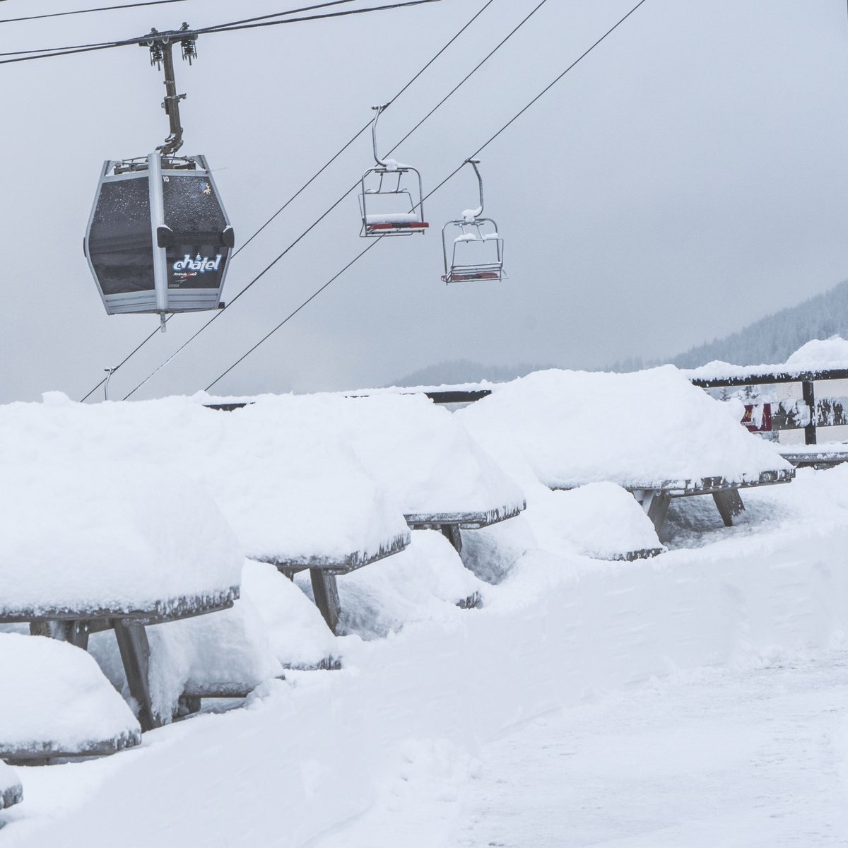 De la bonne neige fraiche pour les vacances de #Noel ❄️

#Chatel #Portesdusoelil #Vacances  #snow  #neige  #skiing