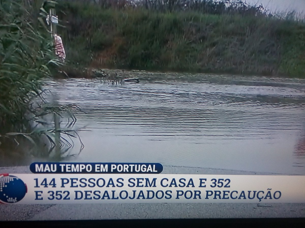 TriangleChest's tweet image. E 352... E 352