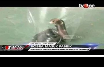 dikopeah's tweet photo. akhirnya kerja juga https://t.co/gyQkYjr9mN