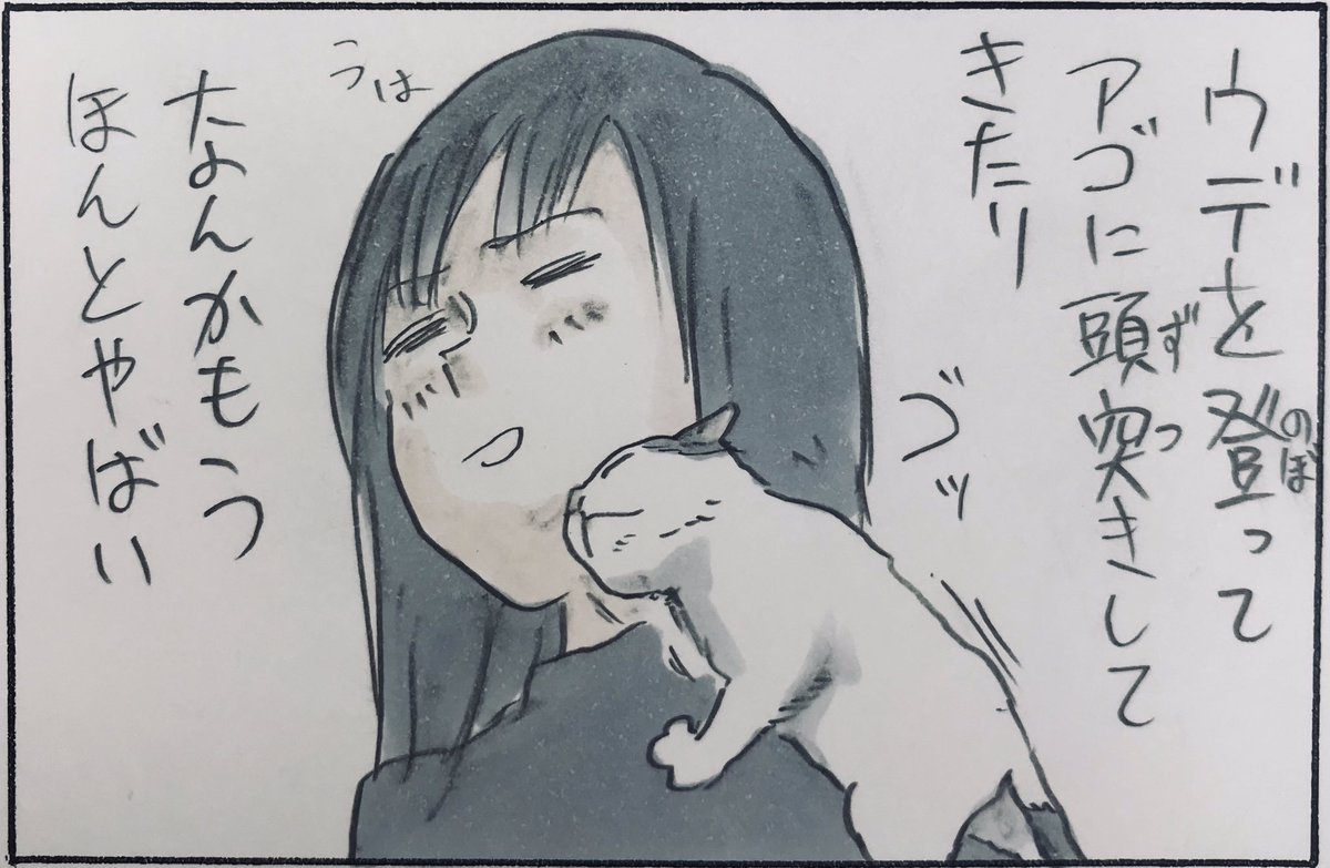 『子猫ってやばい』 