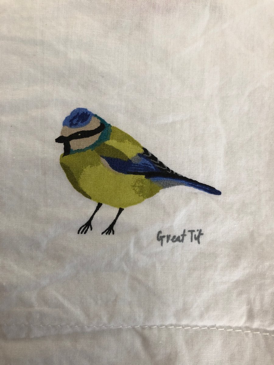 Anna Champneys tweet media