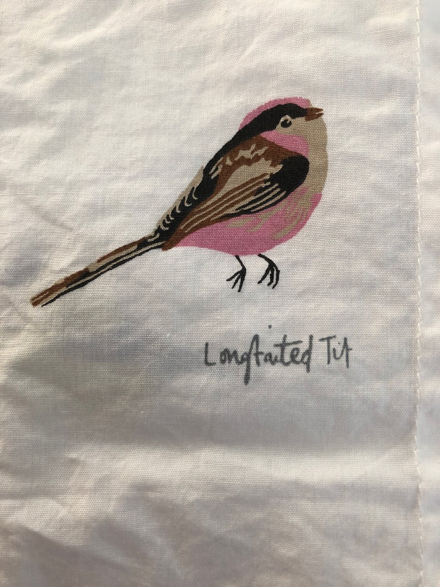 Anna Champneys tweet media