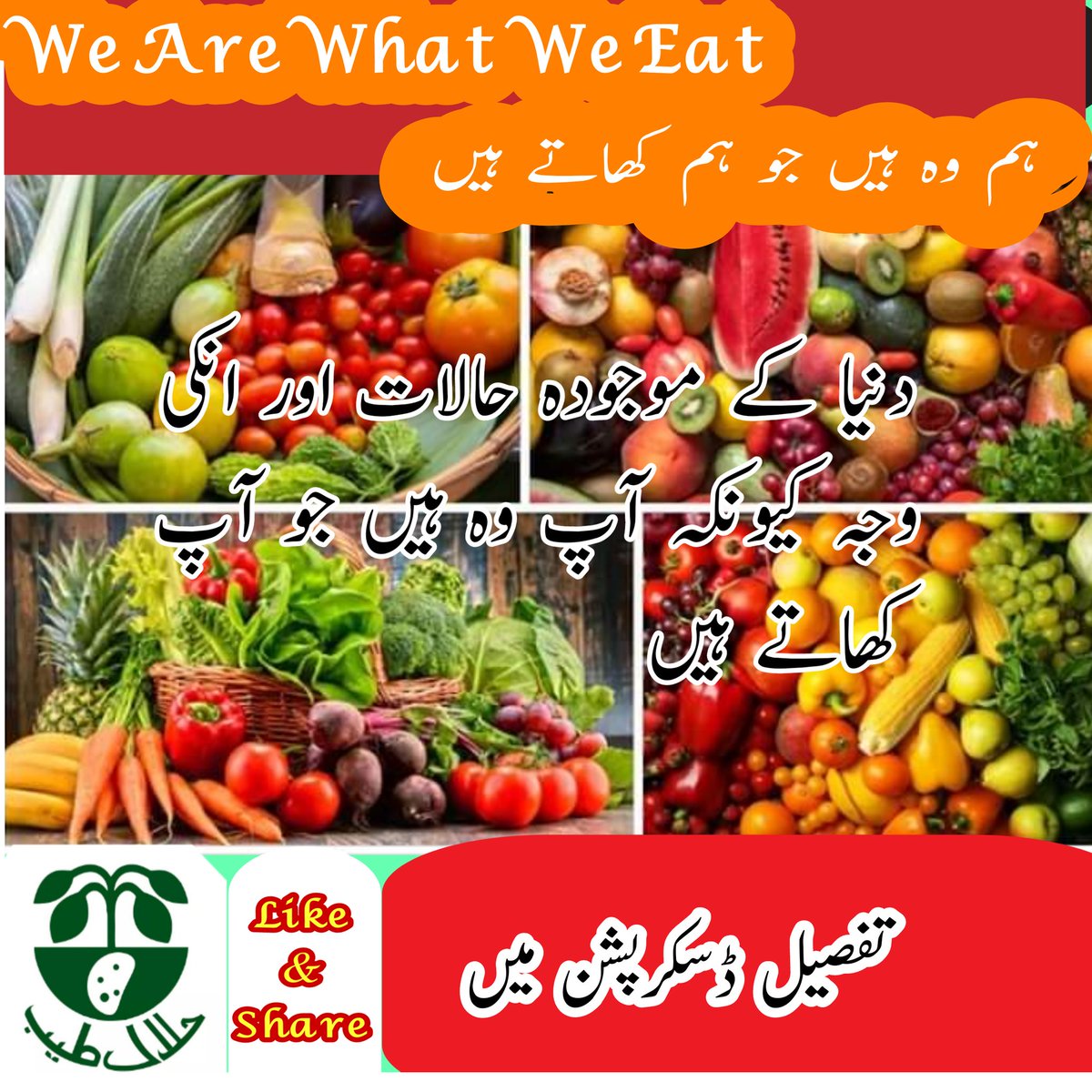 KaGlum's tweet photo. The current conditions in the world and their real reason because you are what you eat
#AvatarKrishn
#Ahmedisa
#halalTayyab
#dajjal7
#PAKvsSL
#farmersday
#mondaythoughts
#2019in5words https://t.co/aywrTwpLZx
