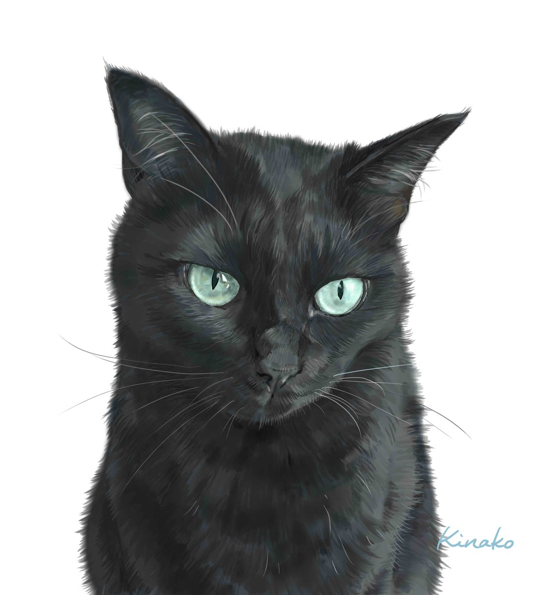 تويتر きなこ 猫の絵を描いています على تويتر 黒猫ちゃん 完成しました あっきぃさんの小春ちゃんです 18年8月に 白血病で天国に旅立ってしまいました まだ3歳でした 先日描いた 一緒に過ごした黒猫の健君と並べてみました イラストを含めて 3枚
