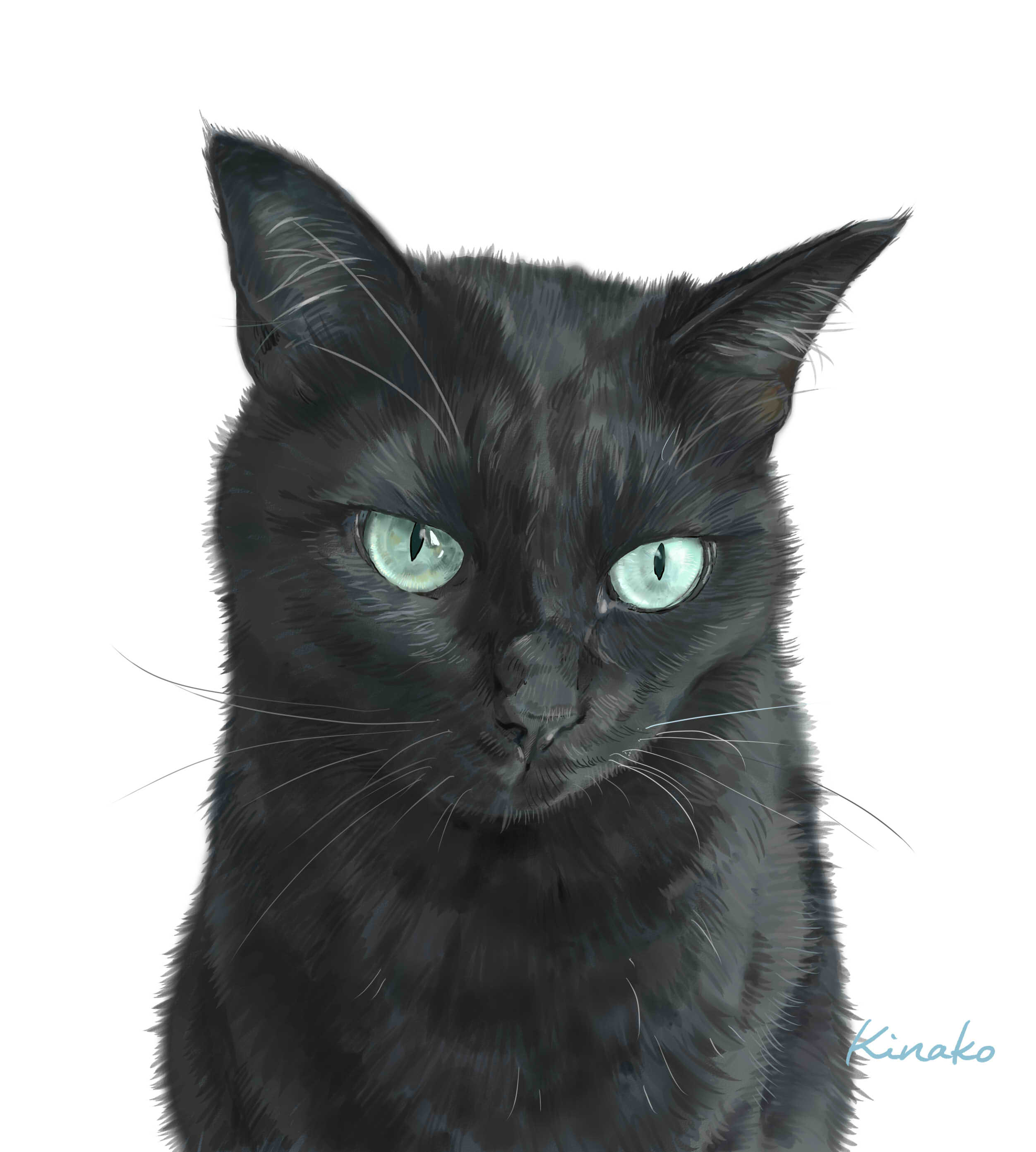 きなこ 猫の絵を描いています 黒猫ちゃん 完成しました あっきぃさんの小春ちゃんです 18年8月に 白血病で天国に旅立ってしまいました まだ3歳でした 先日描いた 一緒に過ごした黒猫の健君と並べてみました イラストを含めて 3枚描いてい