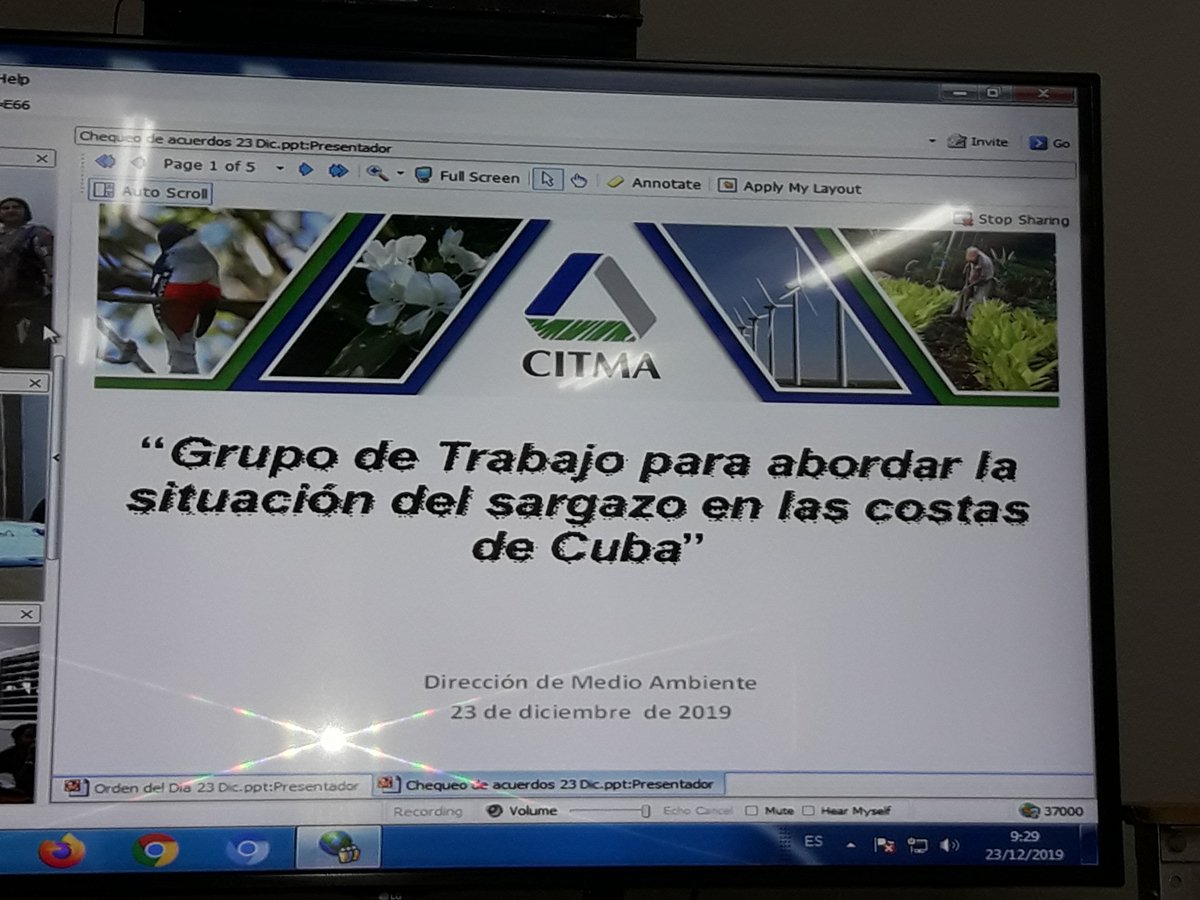 OGAmbienteCuba's tweet photo. Se desarrolla reunión del grupo trabajo creado para la atención preventiva  a posibles arribazones de sargazo a Cuba. Se analiza prototipo de máquina para su recogida desarrollado en Holguín y propuesta de valoración de daños ambientales @citmacuba @adiunah https://t.co/RXZUINW5CC