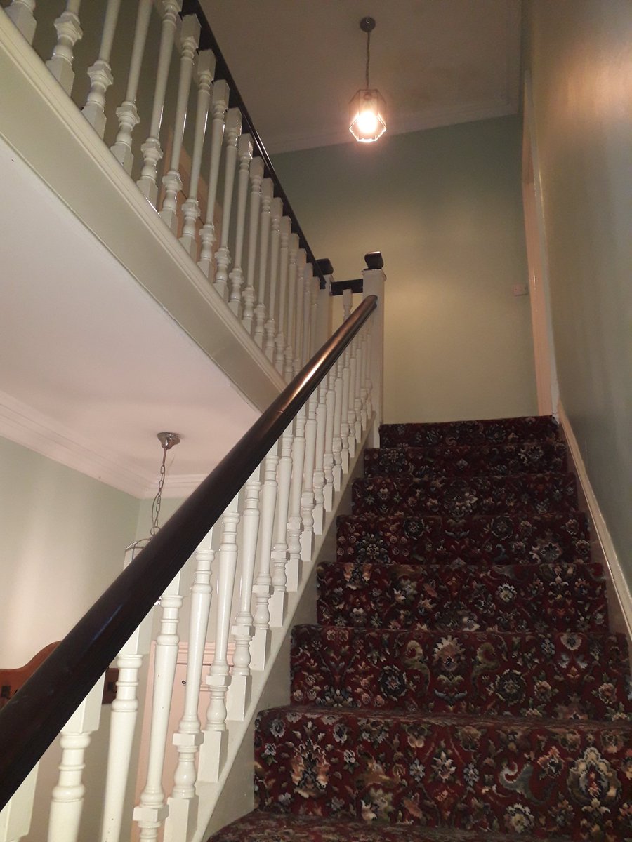 Chester Painter tweet media