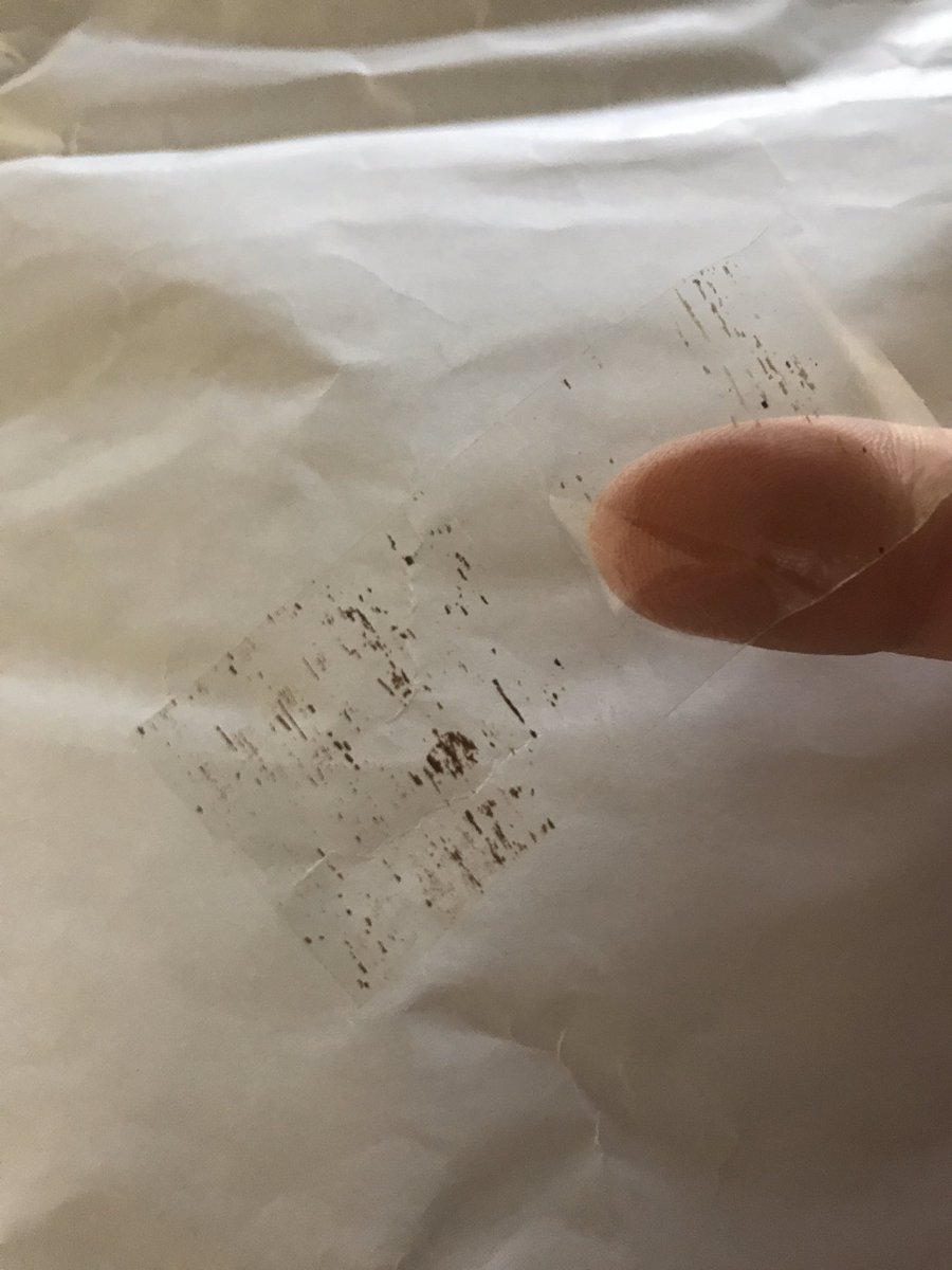 HannahMGeorge's tweet photo. It’s not Christmas until you take the varnish off your parents dining table with selotape. #uhoh #wrappingproblems https://t.co/uSzaSyj6mB