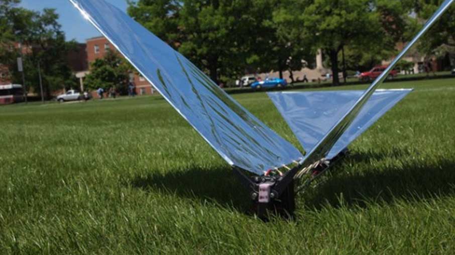 AlysonTailor's tweet image. #RoboticBird #Flight

bit.ly/36131al