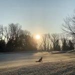 Image for the Tweet beginning: Frosty morning at the club.