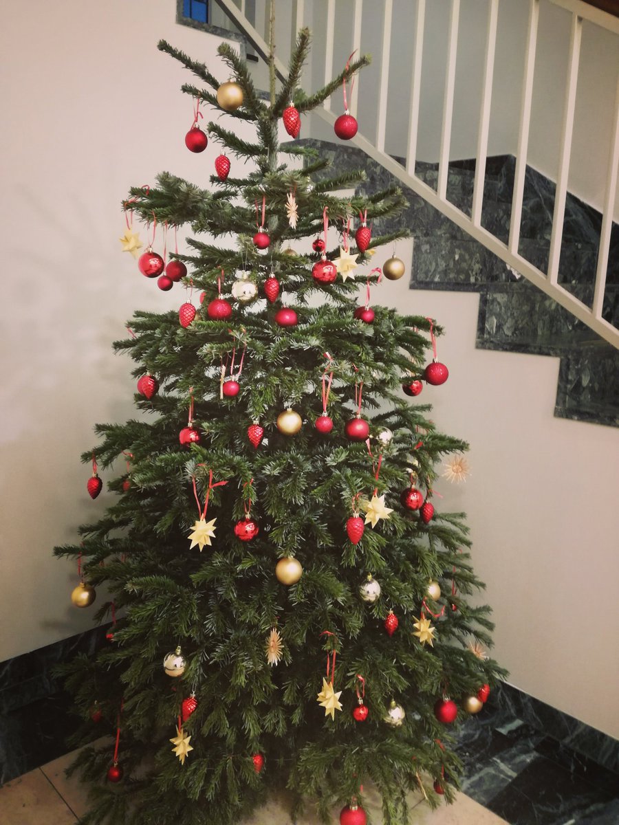 lehrehochn's tweet photo. Mit unserem Stiftungsbäumchen wünschen wir frohe Feiertage und einen guten Start ins neue Jahr! Danke an alle, die Lehrehochn 2019 bereichert haben! #Danke #FroheWeihnachten https://t.co/iZKYAPQtui