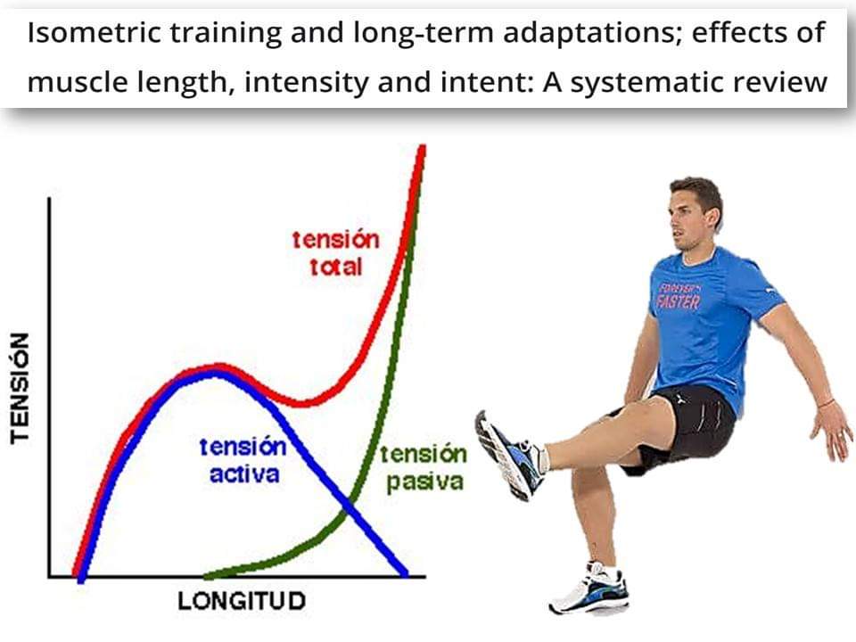 felipeisidro13's tweet photo. EJERCICIOS ISOMÉTRICOS, es decir, en posición estática al tiempo que se mantiene la tensión (sobre todo en longitudes musculares largas) provocan mejoras en las cualidades fisiológicas, incluyendo la hipertrofia muscular.. https://t.co/NM2bfzLuSb
Abro hilo👇 https://t.co/CP4sOoppQT