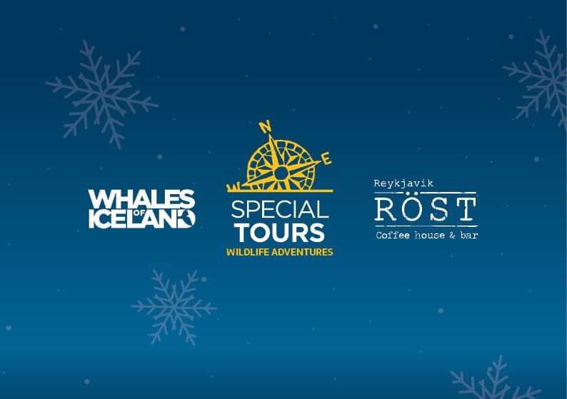 specialtours's tweet photo. Happy Holidays from Special Tours, Whales of Iceland and Reykjavík Röst🎄🎅🏼🐋 https://t.co/i8twDv3TX4