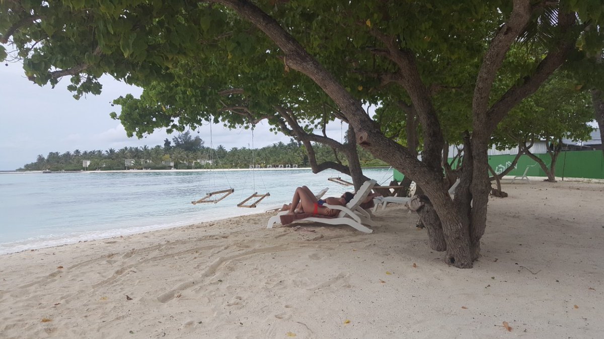 moodhumaainn's tweet photo. @Claudioula https://t.co/k5Lgly9zUZ