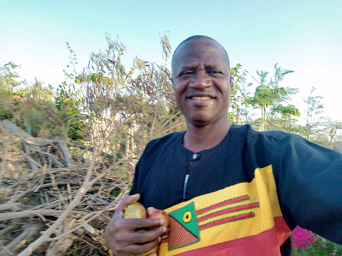 elhadjham's tweet photo. Les #fraisiers comment le produire ?
#AGRITRADE AFRICA.
#OTOGO
#O228
#TOGO https://t.co/I6Z8bi0aCf