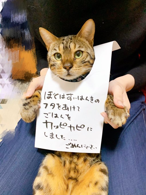 Twitterのコスプレ画像52