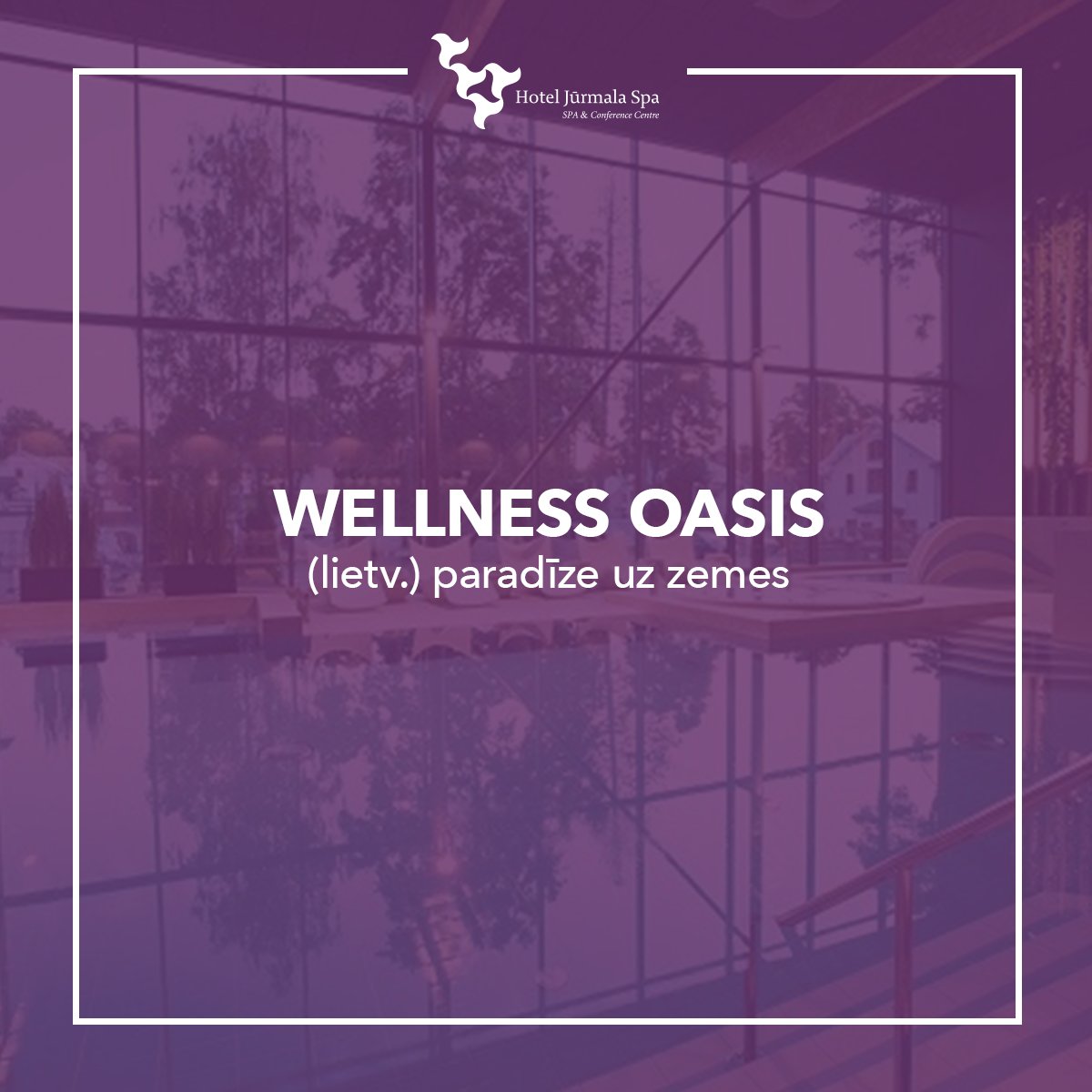 Wellness Oasis ir kļuvis par īstu 2019. gada hitu! Vai tu jau esi apmeklējis to? ;)