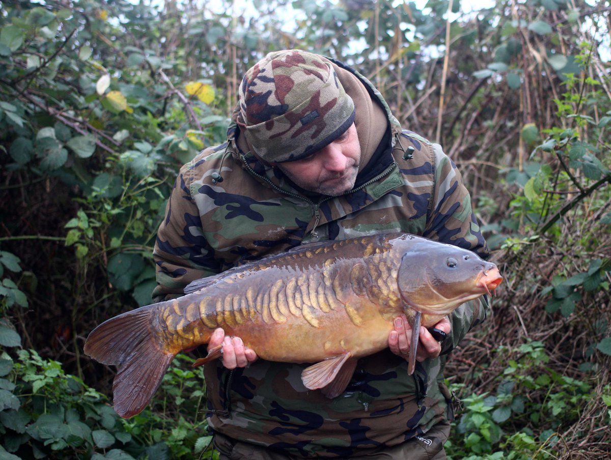 littleE70's tweet photo. Winter scaley mirror caught using @MainlineBaits Essential cell ib pop up with bollie crumb pva bags https://t.co/PCaN2alddP