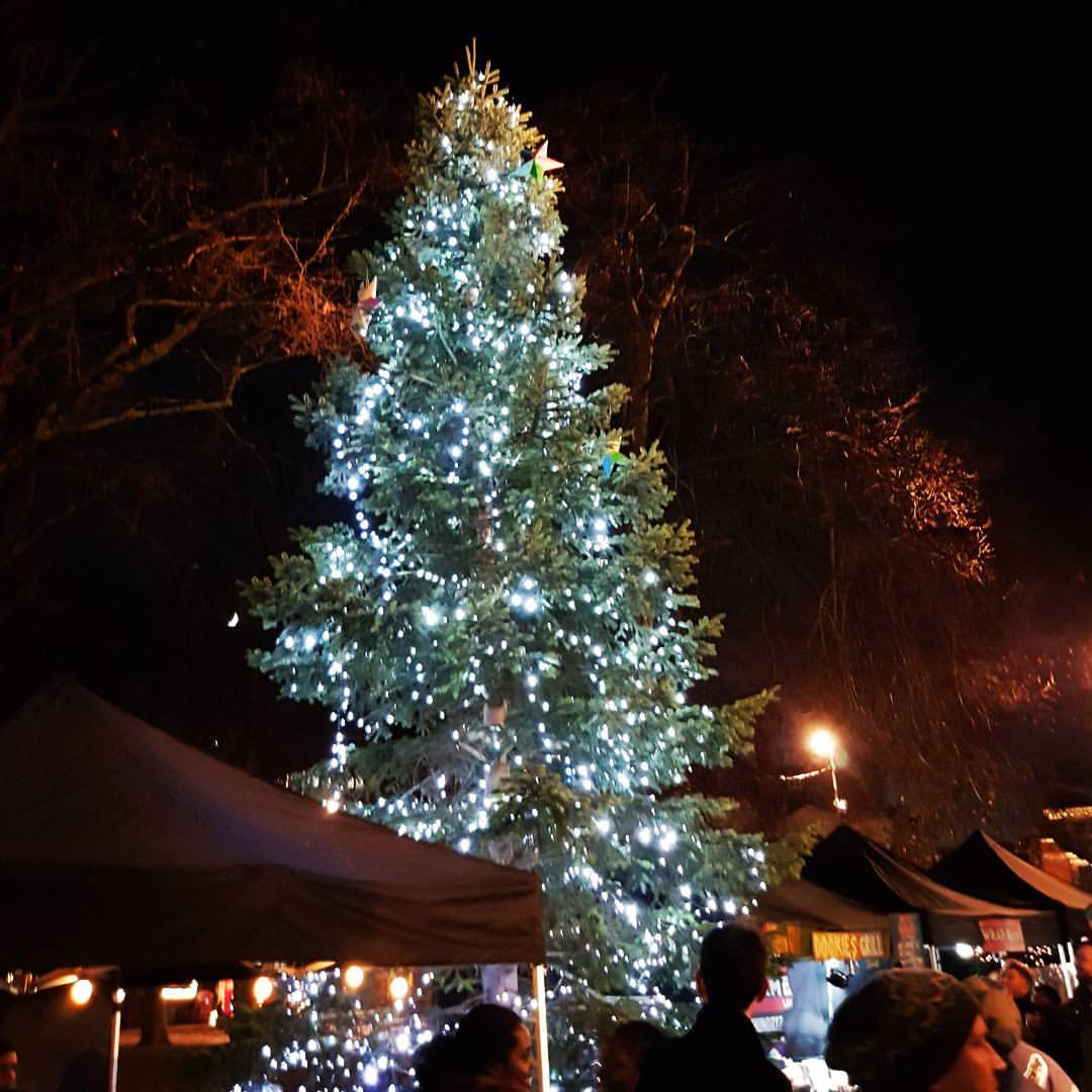 DiscoveringTottenham tweet media