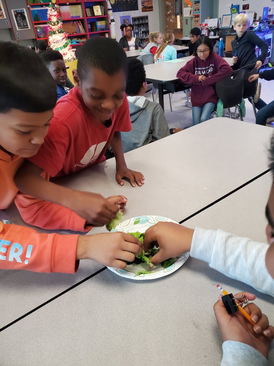 TanyaNovakowski's tweet photo. Second harvest....   more water=larger harvest! @GrowBeyondEarth @NuggetsOnMars #rhmeaglessoar https://t.co/Vmj1D3tVqt
