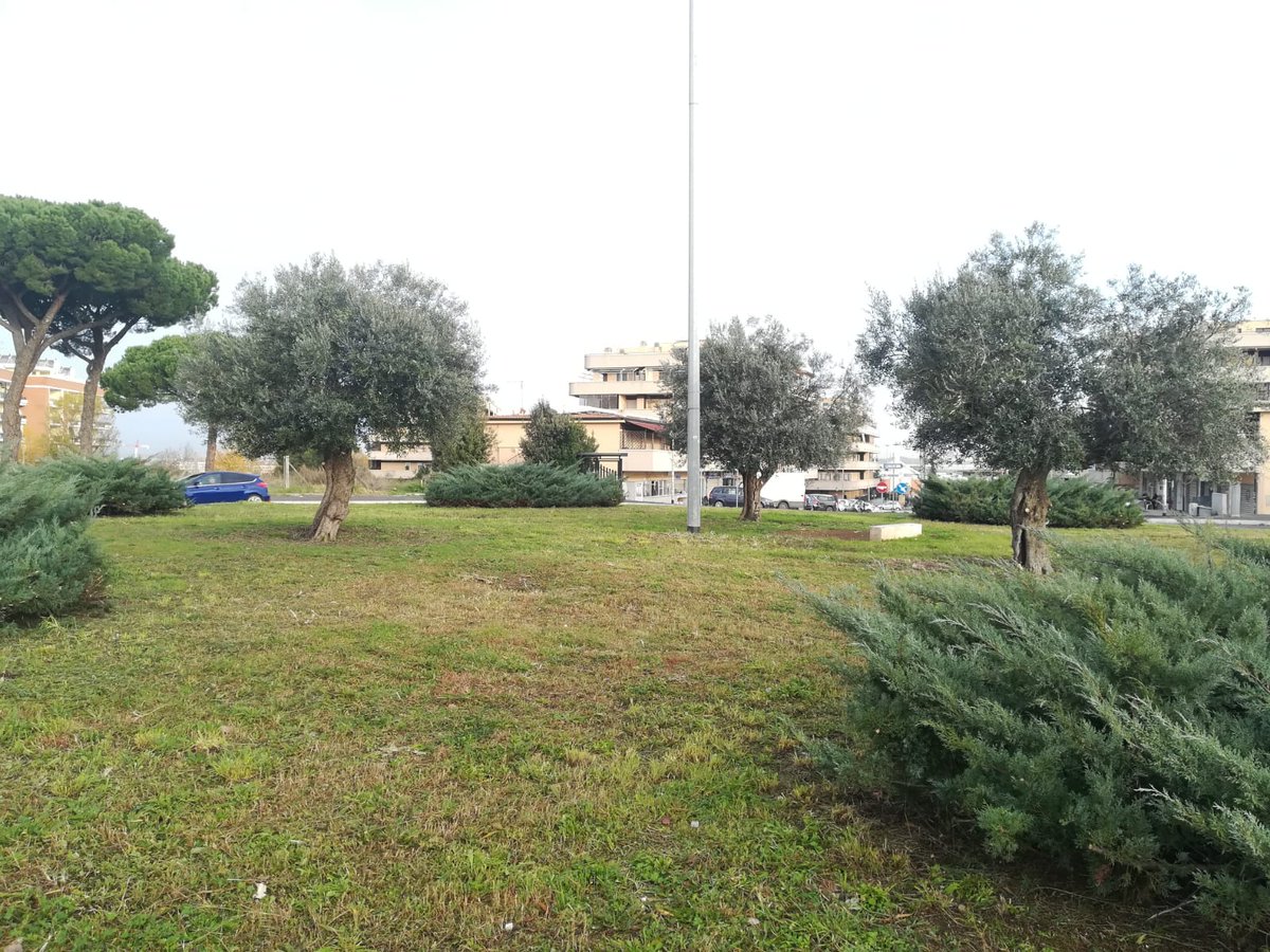 CdQ_NPdN's tweet photo. Le prime immagini di una rotonda di quartiere adottata da un generoso commerciante. Siamo sicuri che questa iniziativa farà scuola! https://t.co/2KdAv3G31W
