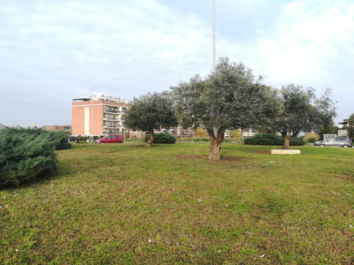 CdQ_NPdN's tweet photo. Le prime immagini di una rotonda di quartiere adottata da un generoso commerciante. Siamo sicuri che questa iniziativa farà scuola! https://t.co/2KdAv3G31W