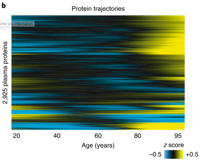 NatureMedicine's tweet image. Aptamer-based proteomic analysis of plasma from healthy individuals aged 18–95 years reveals wave-like patterns of protein expression that are associated with age-related diseases and phenotypic traits | go.nature.com/2t6jdbD |@wysscoray #aging