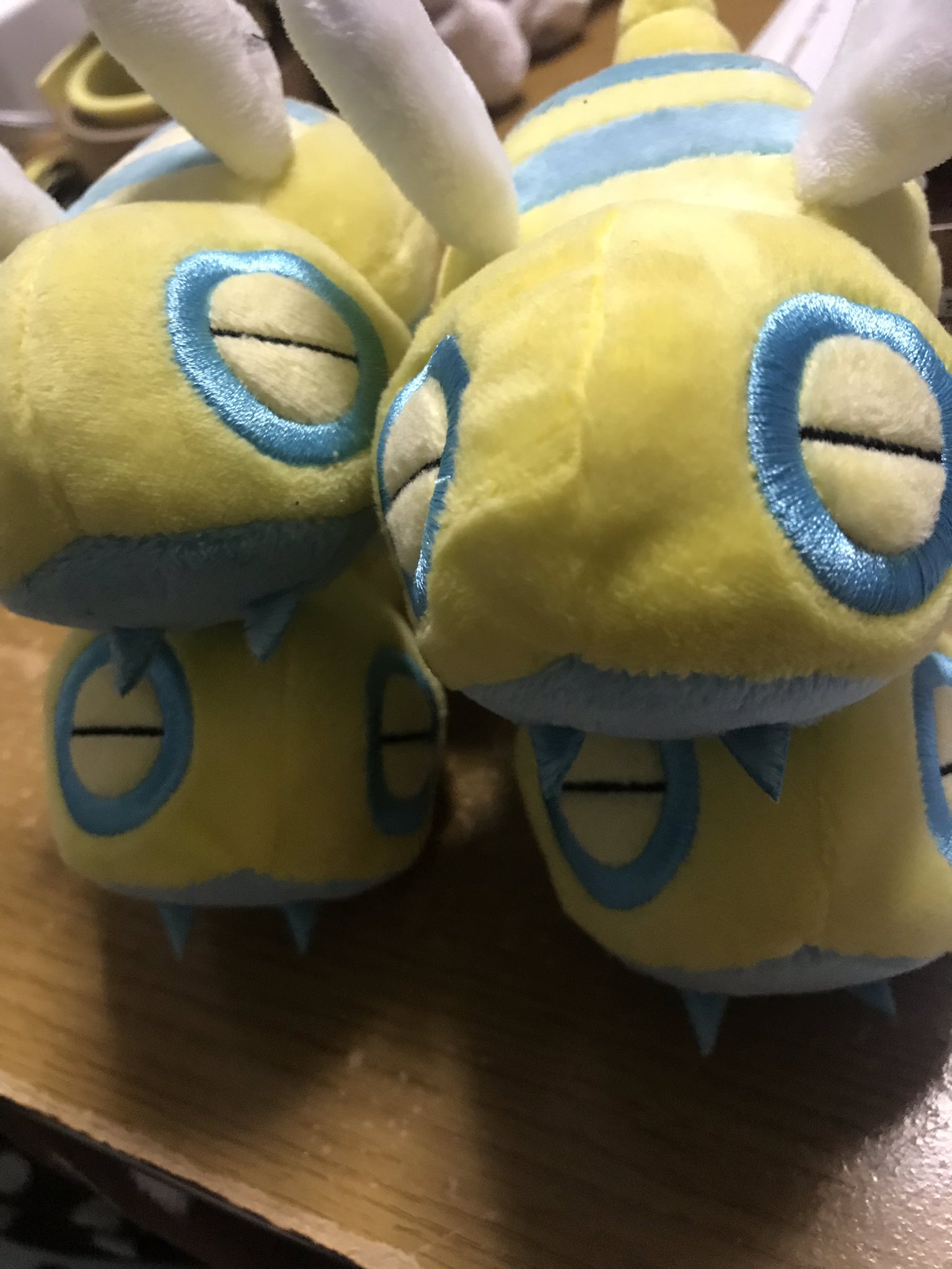 ノコッチの日常 本好きフォロー Nokocchiday Twitter